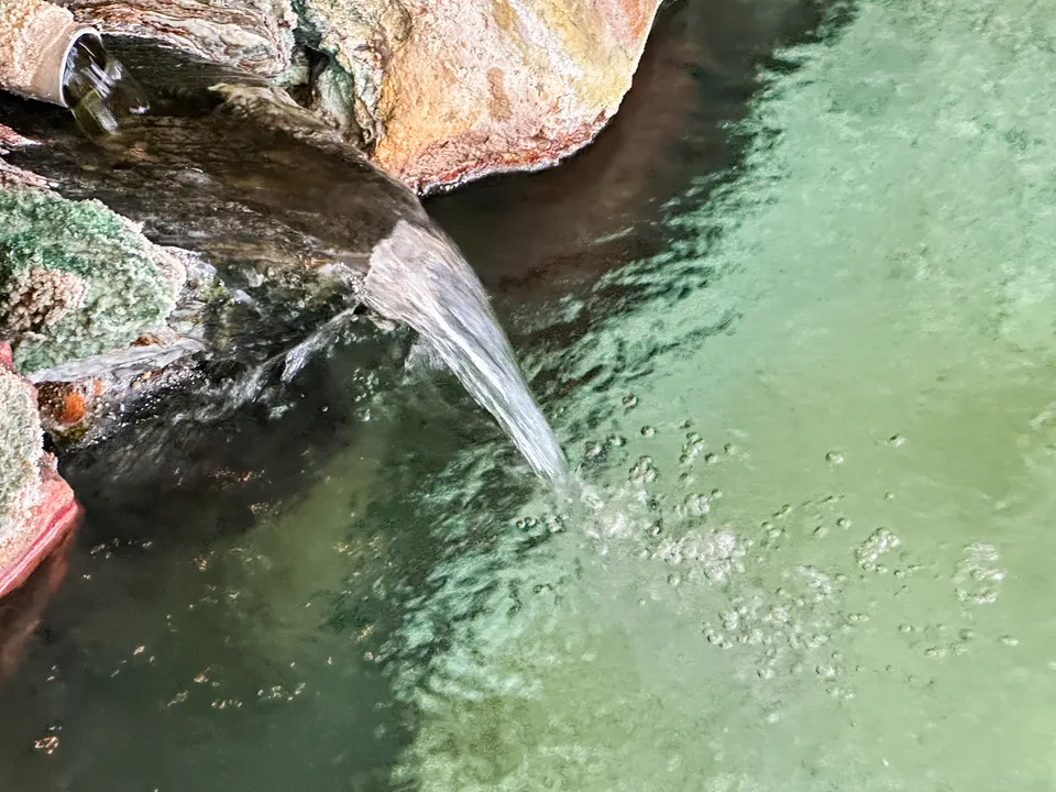 源泉かけ流しの内湯